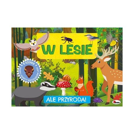 Ale Przyroda W lesie motyleksiazkowe.pl