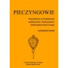 Pieczyngowie. Koczownicy w krajobrazie politycznym i kulturowym średniowiecznej Europy