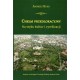 Chełm przedlokacyjny Na styku kultur i cywilizacji Andrzej Buko motyleksiazkowe.pl