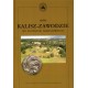 Gród Kalisz-Zawodziewe we wczesnym średniowieczu Tadeusz Baranowski,Dorota Cyngot motyleksiazkowe.pl