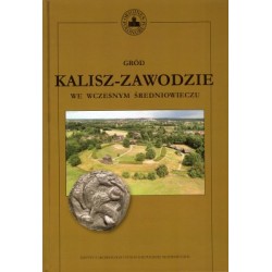 Gród Kalisz-Zawodziewe we wczesnym średniowieczu Tadeusz Baranowski,Dorota Cyngot motyleksiazkowe.pl