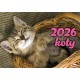 Kalendarz 2026 Koty motyleksiazkowe.pl