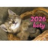 Kalendarz 2026 Koty