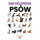 Encyklopedia psów. Dobrze wiedzieć motyleksiazkowe.pl