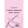 O mapach widywanych gdzie indziej. Miron Białoszewski i przygody kartograficzne Polaków