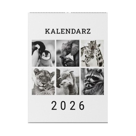 Kalendarz zwierzęta 2026 motyleksiazkowe.pl