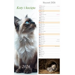 Kalendarz 2026 paskowy Koty i kocięta (13 plansz) motyleksiazkowe.pl