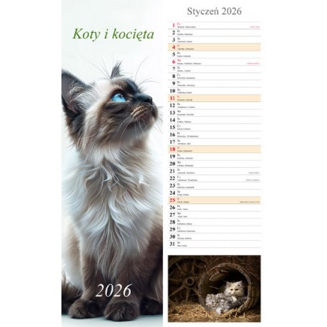 Kalendarz 2026 paskowy Koty i kocięta (13 plansz) motyleksiazkowe.pl