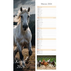 kalendarz 2026 paskowy Konie (13 plansz) motyleksiazkowe.pl