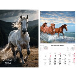 Kalendarz ścienny 2026 Konie motyleksiazkowe.pl
