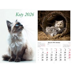 Kalendarz ścienny 2026 Koty motyleksiazkowe.pl
