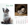 Kalendarz ścienny 2026 Koty
