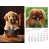 Kalendarz ścienny 2026 Psy