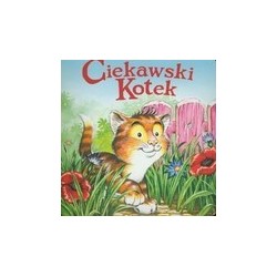 Ciekawski kotek