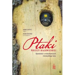 Ptaki Puszczy Białowieskiej. Opowieści o mieszkańcach niezwykłego lasu Adam Zbyrt Adam Wajrak motyleksiazkowe.pl