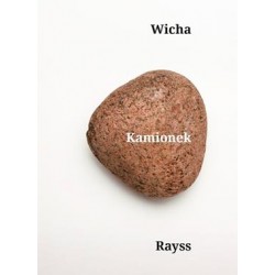 Kamionek Marcin Wicha motyleksiazkowe.pl