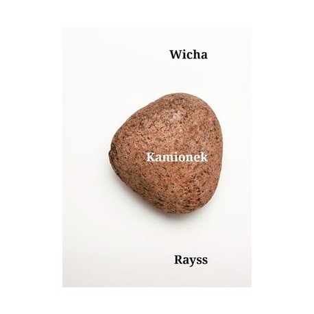 Kamionek Marcin Wicha motyleksiazkowe.pl