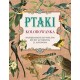Ptaki. Kolorowanka antystresowa. Najpiękniejsze XIX-wieczne ryciny autorstwa J.J. Audubona motyleksiazkowe.pl