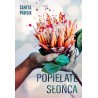 Popielate słońca