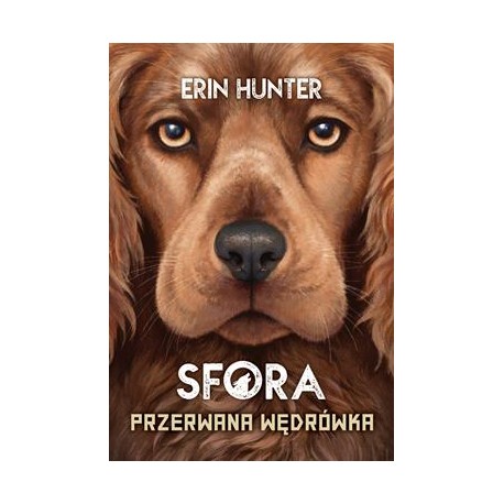 Sfora Tom 4 Przerwana wędrówka Erin Hunter motyleksiazkowe.pl