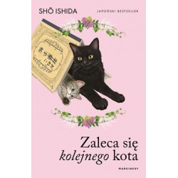 Zaleca się kolejnego kota Sho Ishida motyleksiazkowe.pl