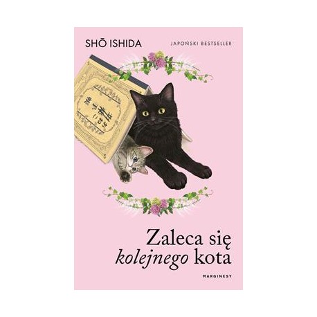 Zaleca się kolejnego kota Sho Ishida motyleksiazkowe.pl