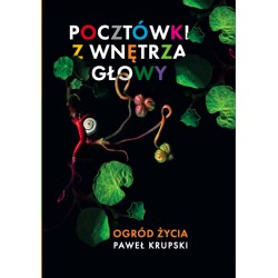Pocztówki z wnętrza głowy Paweł Krupski motyleksiazkowe.pl