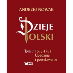 Dzieje Polski Tom 7. 1673-1763 Upadanie i powstawanie Andrzej Nowak motyleksiazkowe.pl