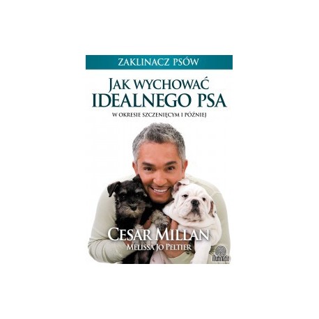 Jak wychować idealnego psa