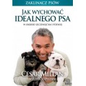 Jak wychować idealnego psa