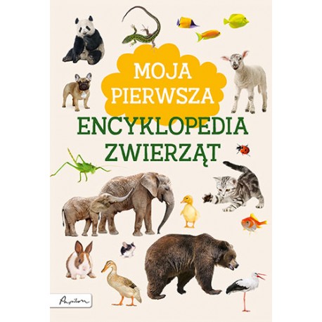 Moja pierwsza encyklopedia zwierząt Marta Kotecka motyleksiazkowe.pl