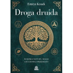 Droga druida