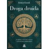 Droga druida