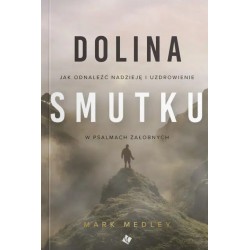 Dolina smutku Mark Medley motyleksiazkowe.pl