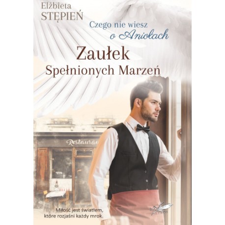 Zaułek spełnionych marzeń Elżbieta Stępień motyleksiazkowe.pl