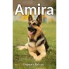 Amira