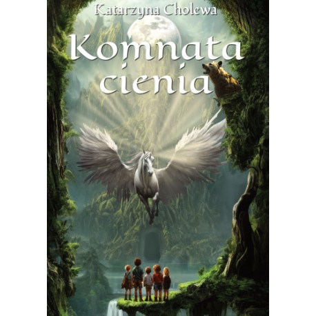 KOMNATA CIENIA Katarzyna Cholewa motyleksiazkowe.pl