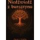 Niedźwiedź z bursztynu Anna Czapla motyleksiazkowe.pl