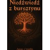 Niedźwiedź z bursztynu