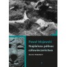 Najdalsza północ człowieczeństwa. Eseje o przemocy