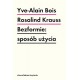 Bezformie: sposób użycia  Yve-Alain BoisRosalind E. Krauss motyleksiazkowe.pl