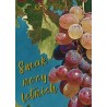 Smak nocy letnich