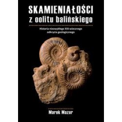 Skamieniałości z oolitu balińskiego Marek Mazur motyleksiazkowe.pl