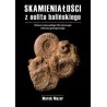 Skamieniałości z oolitu balińskiego