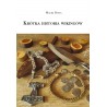 Krótka historia wikingów