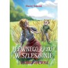 Pewnego razu w Szleszynie. Z Księgi Darwali