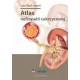 Atlas nefropatii cukrzycowej Luis Raul Lepori motyleksiazkowe.pl