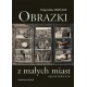 Obrazki z małych miast Bogusław Janiczak motyleksiazkowe.pl