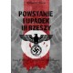 Powstanie i upadek III Rzeszy. Tom I Hitler i narodziny III Rzeszy William L. Shirer motyleksiazkowe.pl