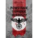 Powstanie i upadek III Rzeszy. Tom III Hitler i koniec III Rzeszy William L. Shirer motyleksiazkowe.pl